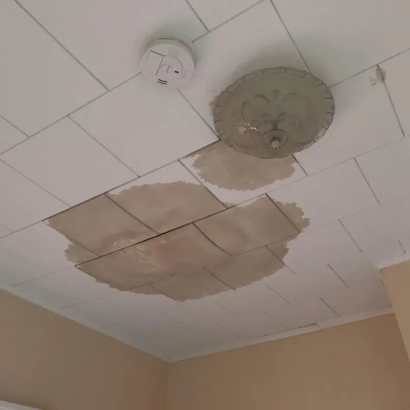 Ceiling Water Damage Repair in Turtle Lake, WI