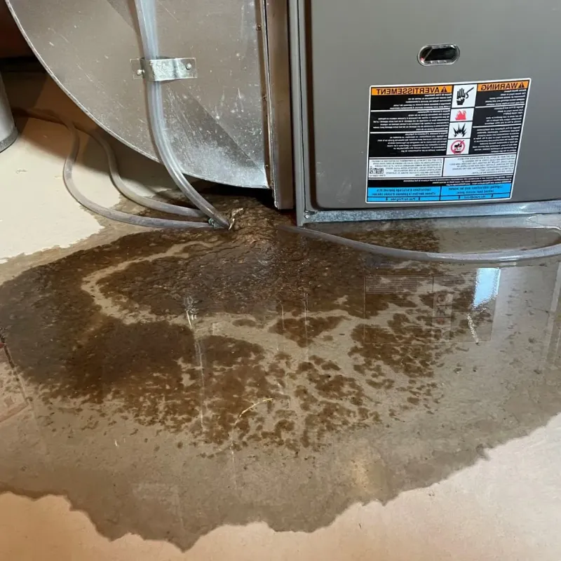 Pipe Burst and Leak Restoration in Turtle Lake, WI