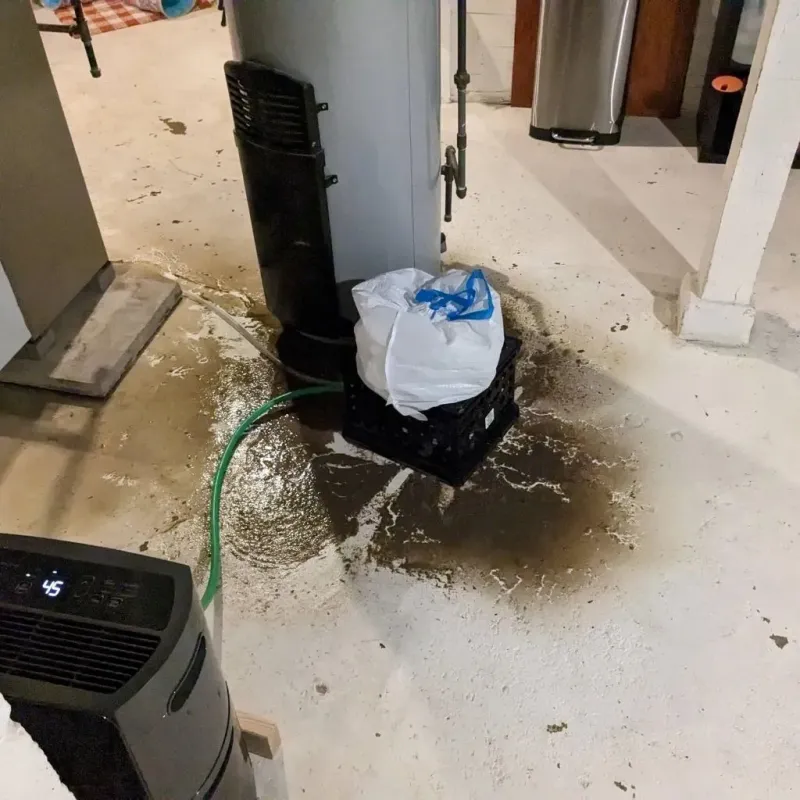 Sewage Backup Cleanup Service in Turtle Lake, WI